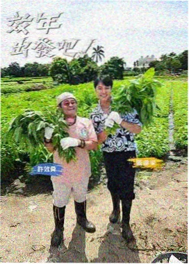 周末不打烊综艺封面
